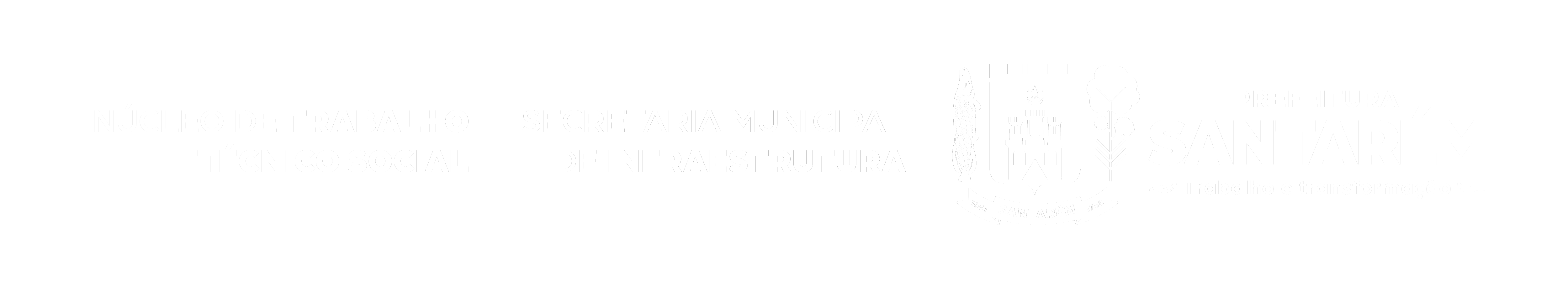 Núcleo de Trabalho Técnico Social